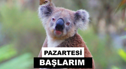 pazartesi başlarım